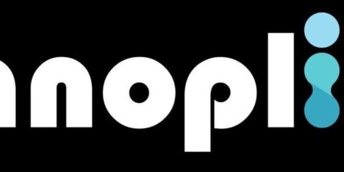 Transforming Businesses with Expert IT Consulting — Innoplix IT