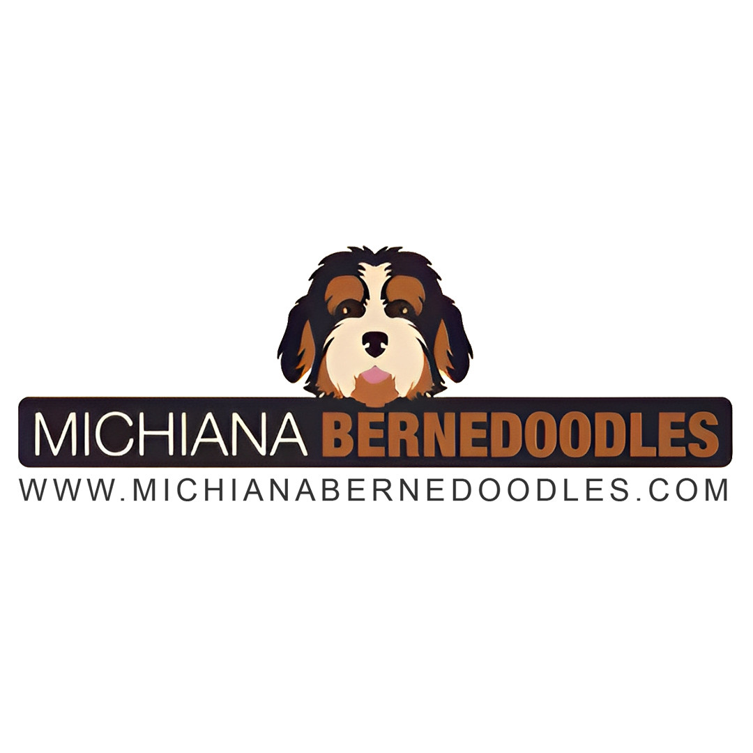 Mini Bernedoodle Breeders Michaina Bernedoodle Profile Picture