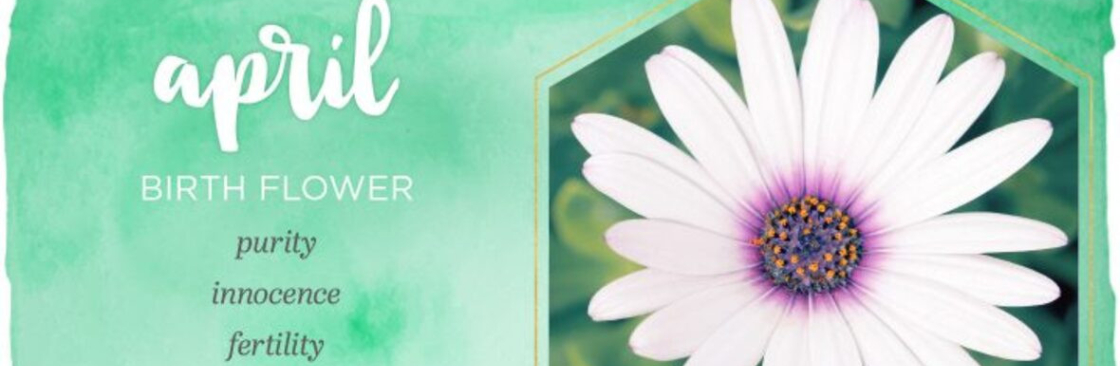 florist chennai Cover Image