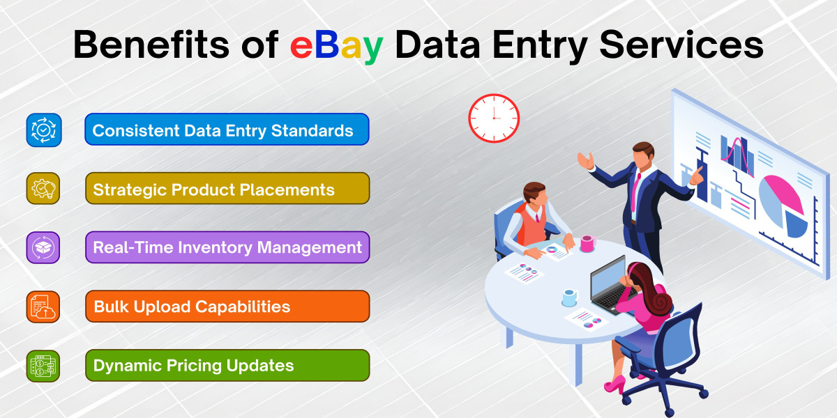 Boost Your Online Sales with eBay Product Data Entry