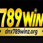 789WIN Profile Picture