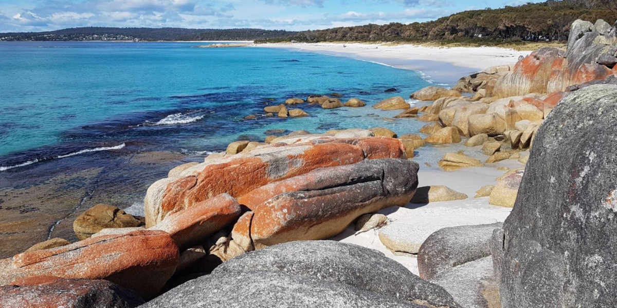 Unforgettable Bay of Fires Tours Await in Tasmania