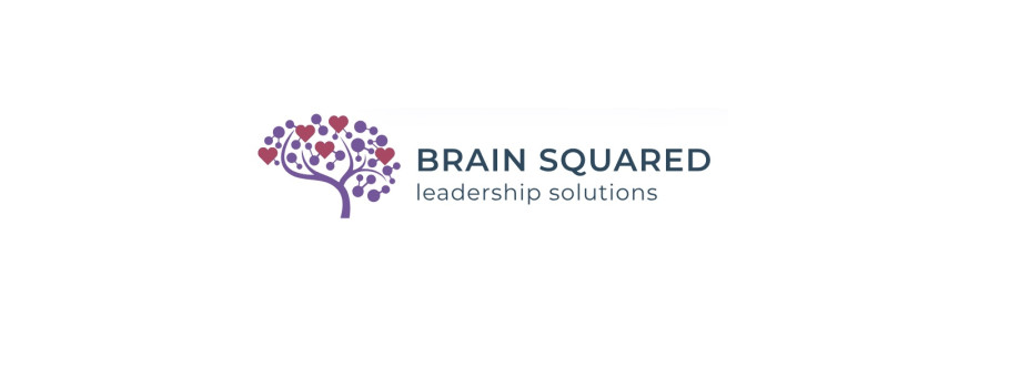 Brain Squared Solutions Inc Cover Image