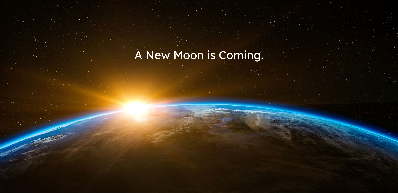 Web Design & Development Services by Purple Moon Designs
