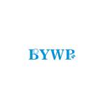 BYWB Bearing Profile Picture