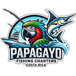 Papagayo Fishing Charters Profile Picture