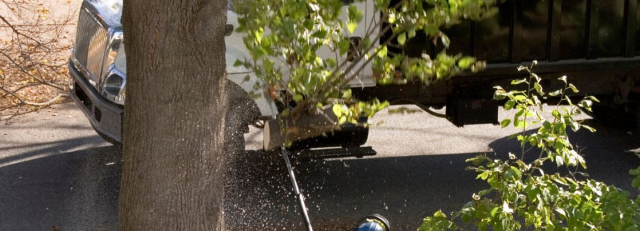 Sesmas Tree Service LLC Cover Image