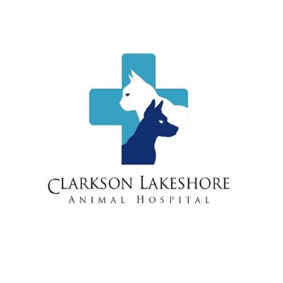 Clarkson Lakeshore Profile Picture
