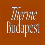 Therme Budapest Profile Picture