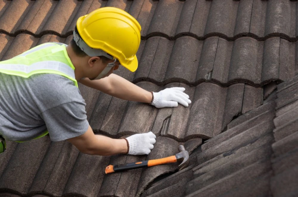 Why Roof Leak Repair in Sydney Can’t Wait -  WriteUpCafe