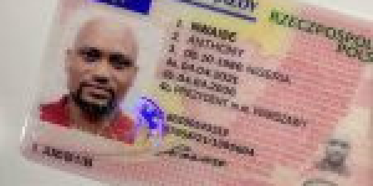 What's Holding Back In The Driving License Category B Industry?
