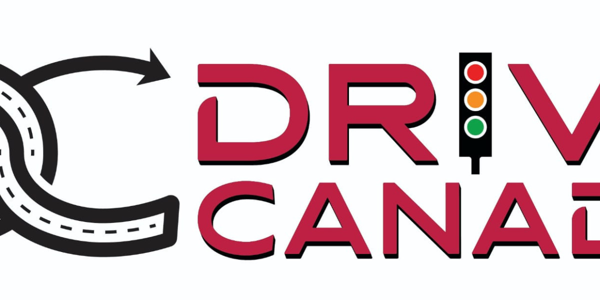 The Role of Professional Driving Instructors in Building Road Confidence