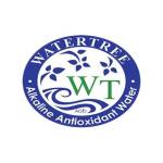 Water Tree Cypress Profile Picture