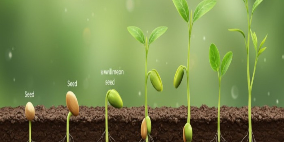 how long does it take for seeds to germinate for sustainable living