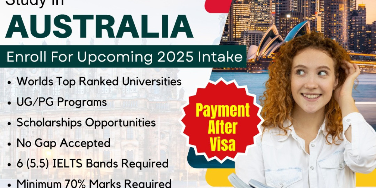 Find the Best Immigration Consultants in Panchkula