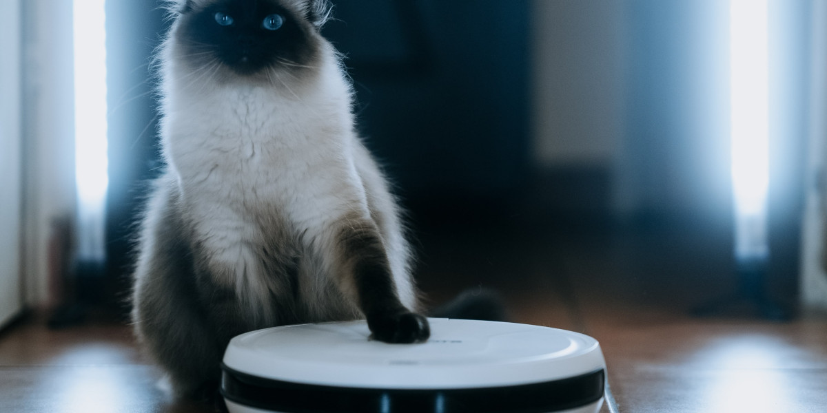9 . What Your Parents Taught You About Robotic Vacuum Cleaner Deals
