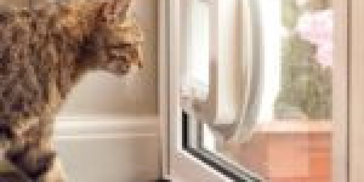 How Swift Cat Flap Installation Its Rise To The No. 1 Trend On Social Media
