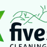 fivestar cleaningser Profile Picture