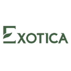 Exotica UAE Profile Picture