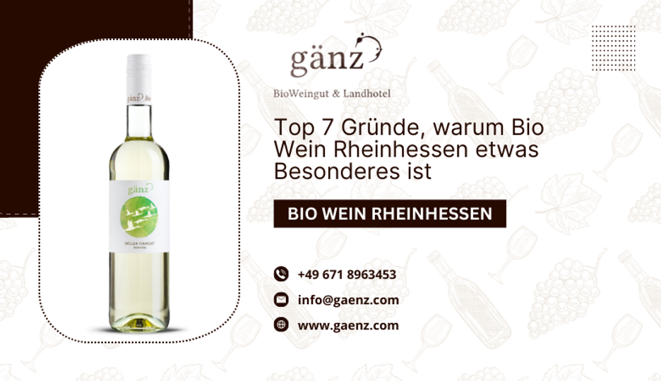 Top 7 Gründe, warum Bio Wein Rheinhessen etwas Besonderes ist