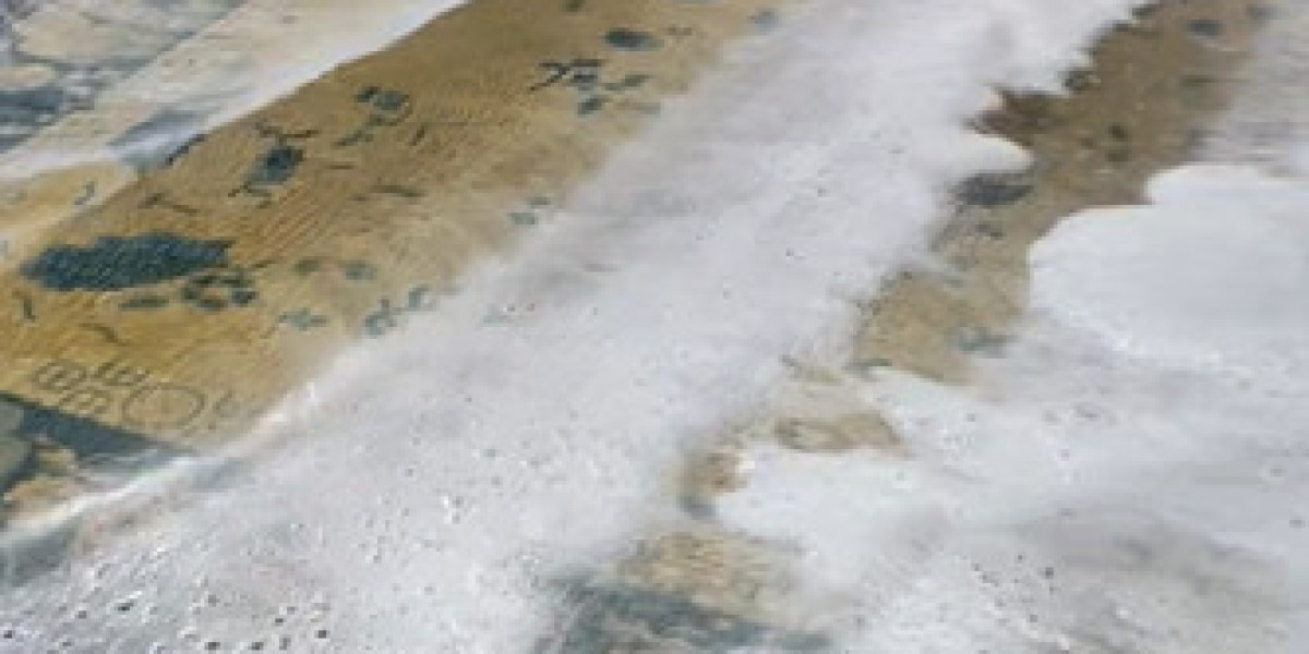 Gables Carpet Cleaning: Professional Area Rug Cleaning for a Fresher Home
