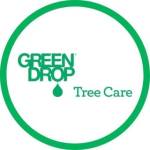 Green Drop Trees Profile Picture