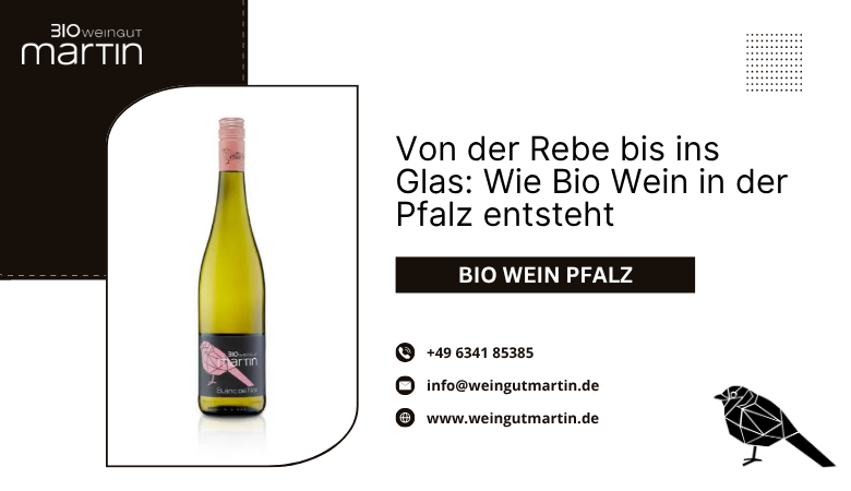 Weingut Martin — Von der Rebe bis ins Glas: Wie Bio Wein in der Pfalz entsteht