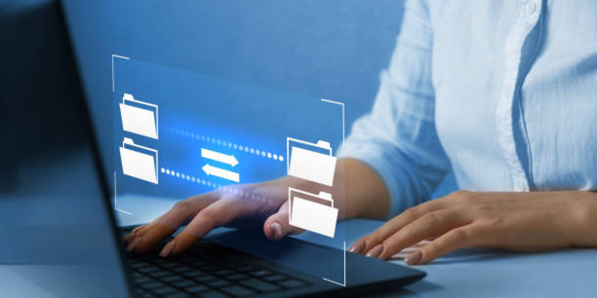 Comprehensive Guide to the Best File Share Website Solutions