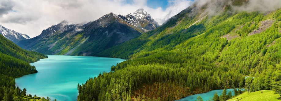 Katrine Jackson Cover Image