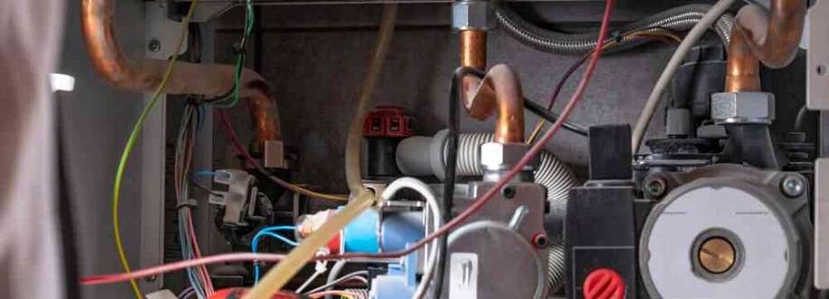 Mr Electric of Boulder Cover Image