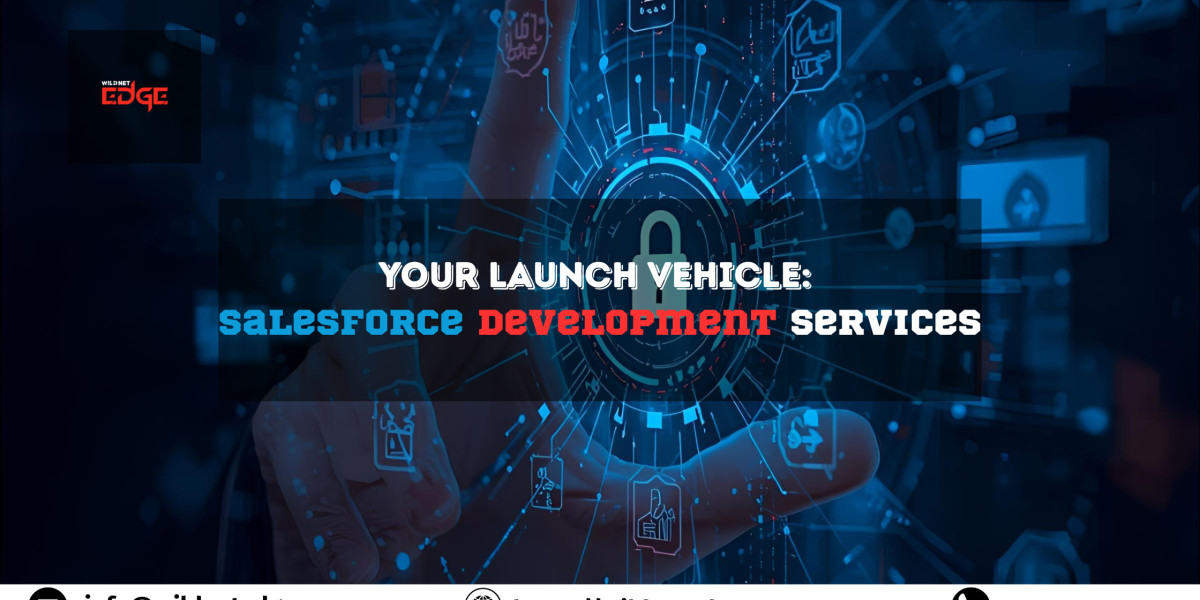 The Launch Vehicle: Putting Your Business in a Unique Orbit with Custom Salesforce