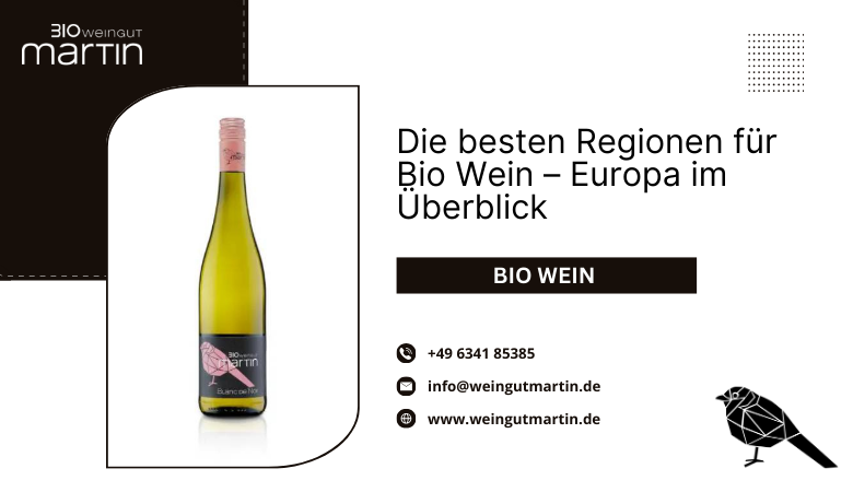 Die besten Regionen für Bio Wein – Europa im Überblick – Weingut Martin