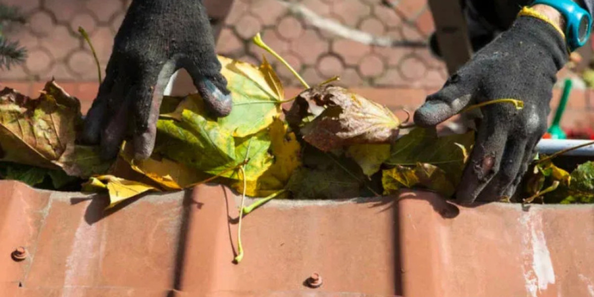 Expert Gutter Cleaning Services in Alpharetta and Cumming, GA