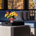 Solarium Design Profile Picture