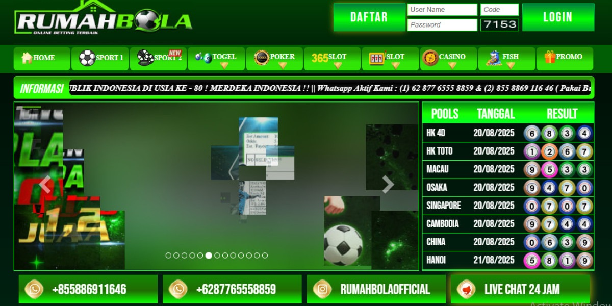 From Work to Play: How Digital Software Shapes Our World