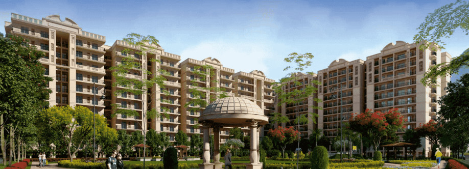 Motiaz Official Cover Image