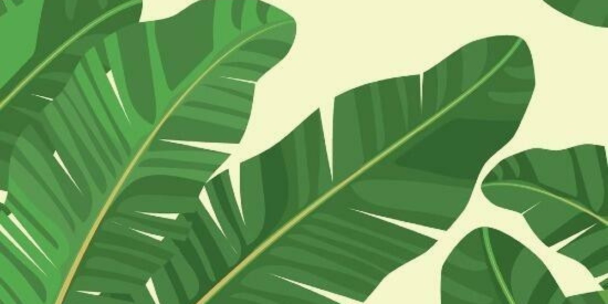 Centre for Integrated Health Programs  - Not-For-Profit Non-Governmental Organization