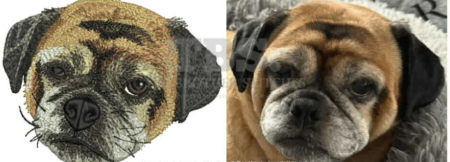 Paul Louis Cover Image