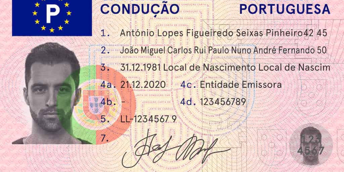 Everything You Need To Learn About Driving License Requirements