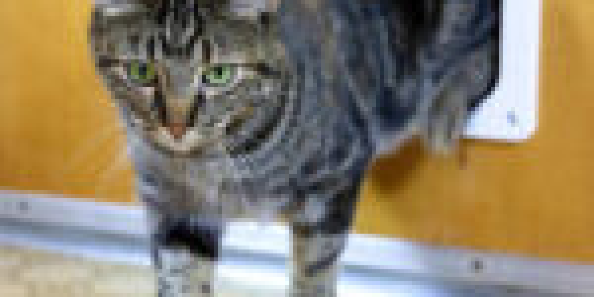 The No. One Question That Everyone In Cat Flap Installation Process Should Be Able To Answer