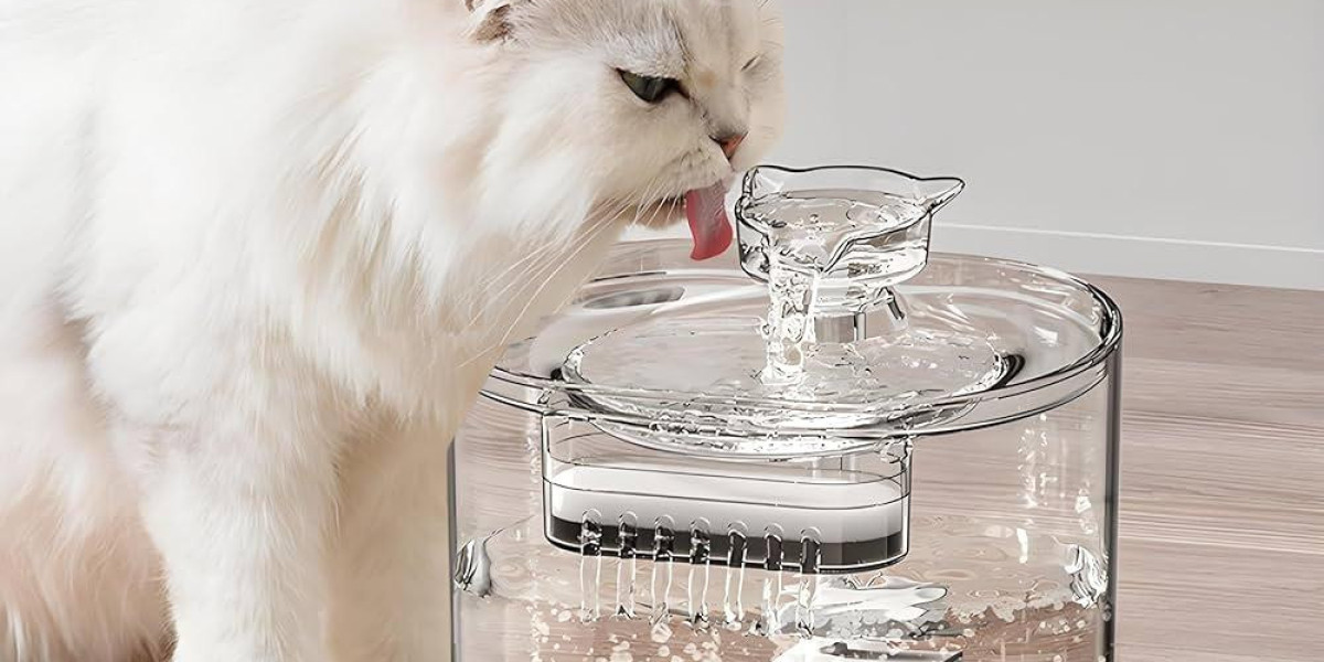 Why Pawtechpet Intelligent Pet Water Dispenser Fits Modern Homes