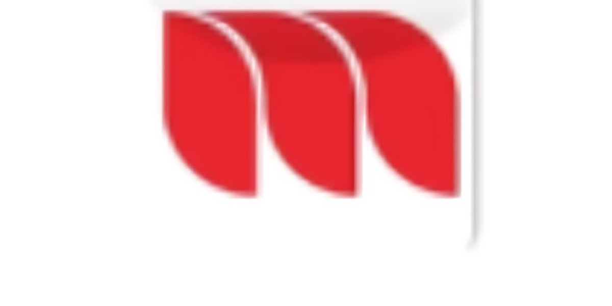 Latinos in Minnesota: Stories of Resilience and Growth