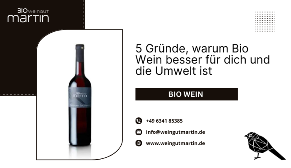 5 Gründe, warum Bio Wein besser für dich und die Umwelt ist