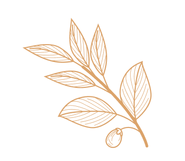 Eat In Tandoor – Indian & Pak | Piscataway, NJ