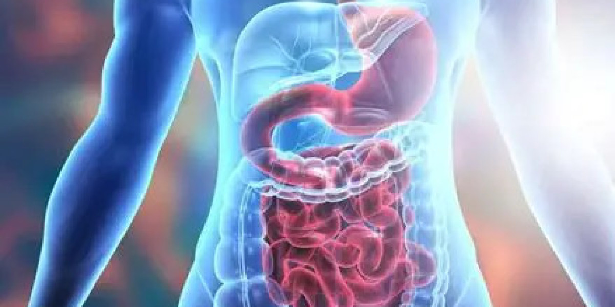 Support Healthy Digestion with Natural Daily Wellness Solutions