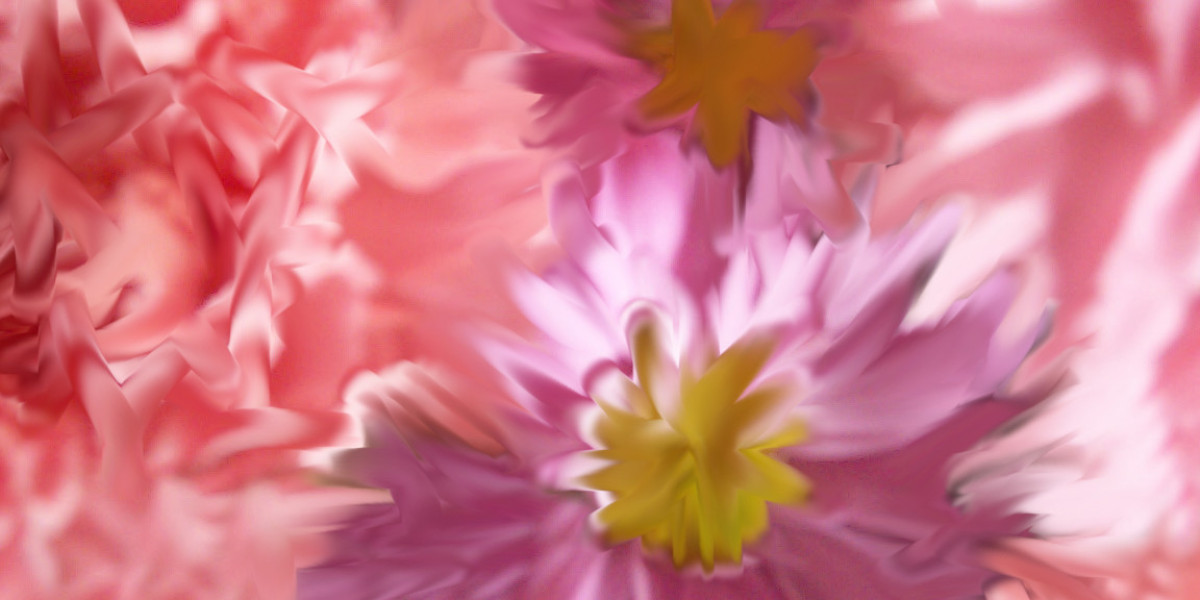 Test Deca Dbol Cycle Log