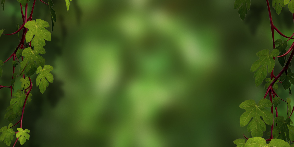 Exploring the World Of International Private Jets Charter Companies