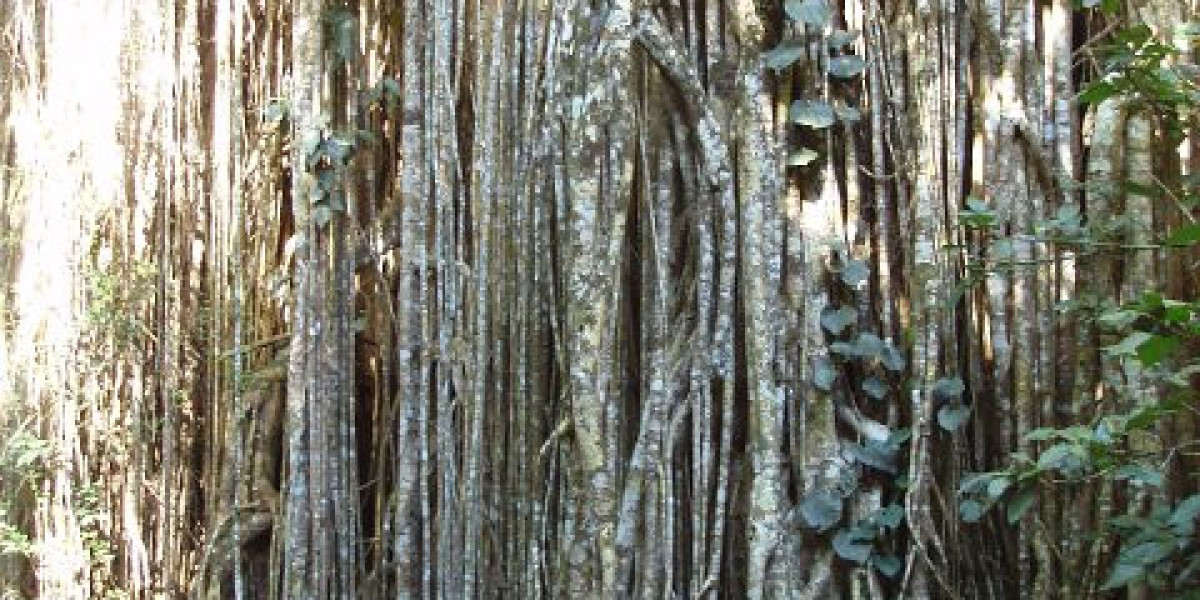 Wachstumshormon-Nebenwirkungen: Ist der Nutzen das Risiko wert?