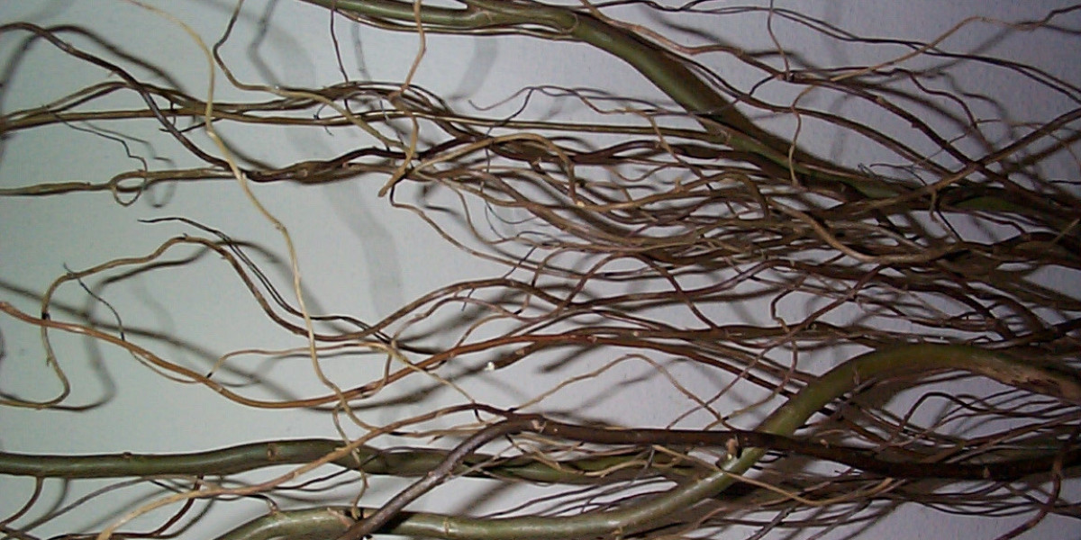 "The KPV Peptide: A Novel Modulator of Inflammation"