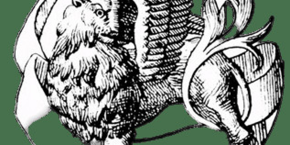 The Inspiring Story Behind the Saint Vanity Brand